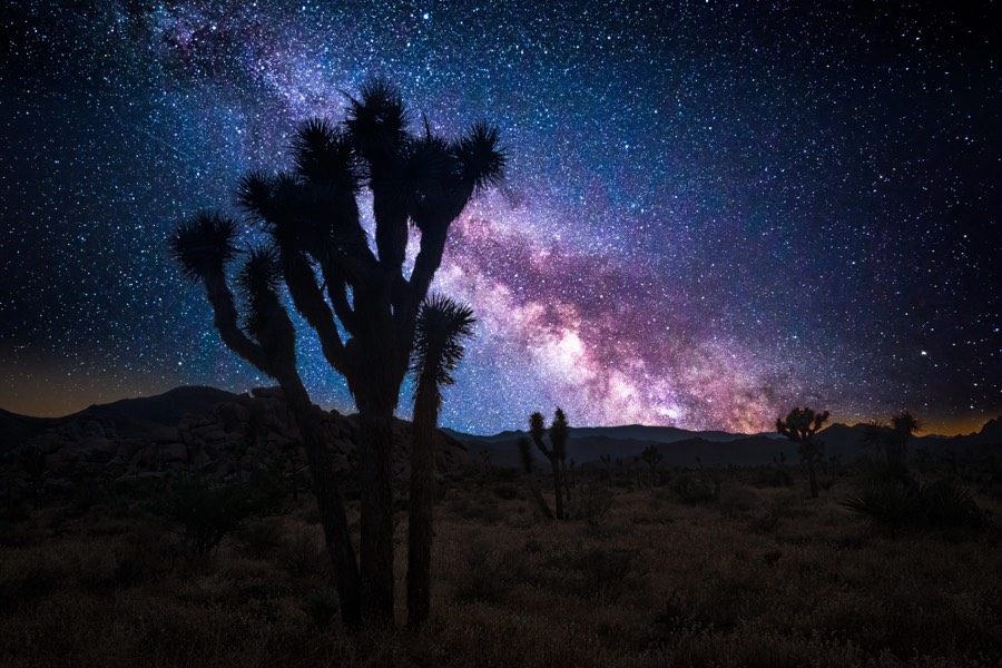 The Milky Way over Joshua Tree