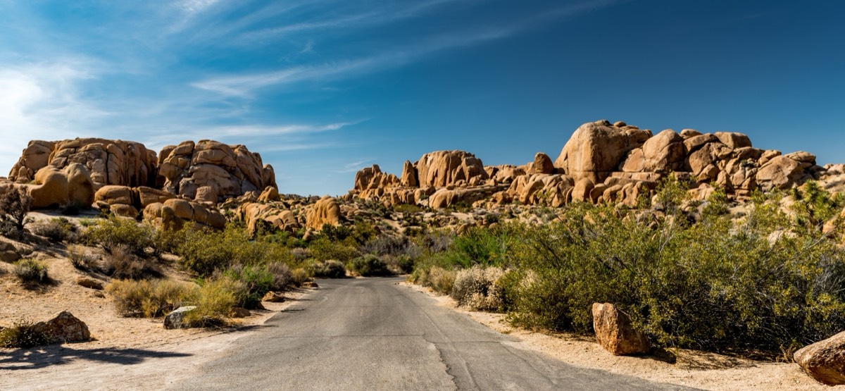 The road through Joshua Tree National Park